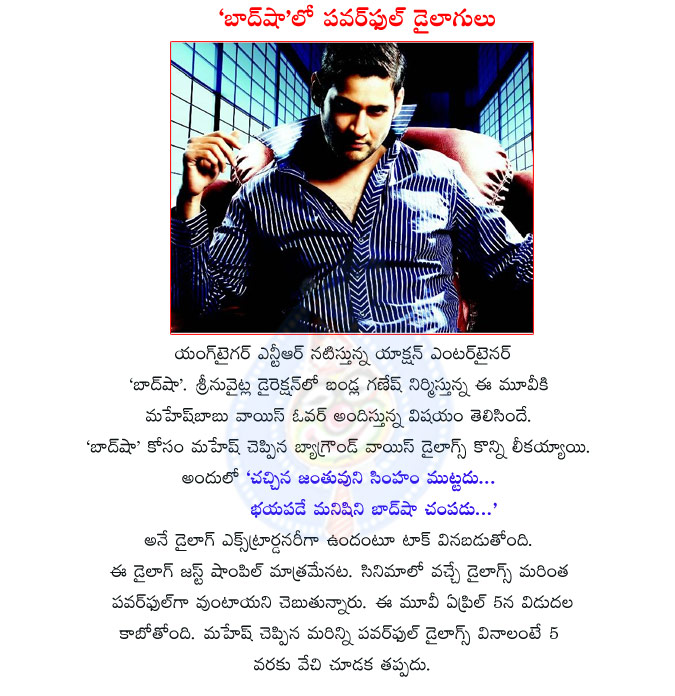 baadshah,mahesh babu dialogue,mahesh babu dialogue leak in baadshah,baadshah mahesh babu dialogue,prince mahesh,young tiger ntr,srinu vaitla,voice over  baadshah, mahesh babu dialogue, mahesh babu dialogue leak in baadshah, baadshah mahesh babu dialogue, prince mahesh, young tiger ntr, srinu vaitla, voice over